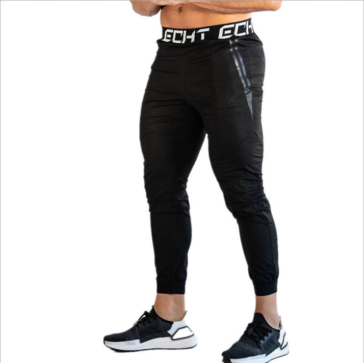 a53dc1178de487caf0fa0f6662f2f2ba