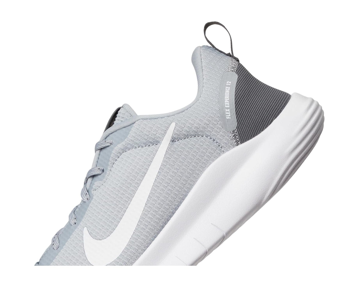 Men's Nike Flex Experience Run 12 Wolf Grey/White/Iron Grey